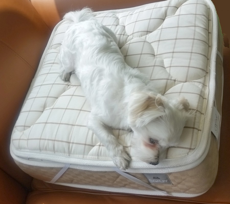 1066c534f76cf95a22a824be492d593e_1467182